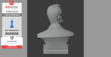 Pyotr Ilyich Tchaikovsky Bust - Historical Warrior STL