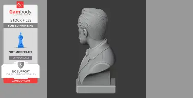 Pyotr Ilyich Tchaikovsky Bust - Historical Warrior STL