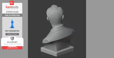 Pyotr Ilyich Tchaikovsky Bust - Historical Warrior STL