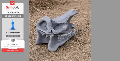 Indian Rhinoceros Skull - Skull Replica STL