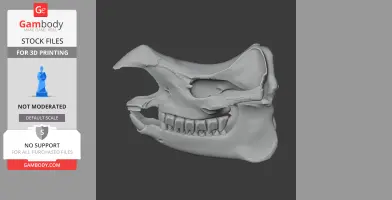Indian Rhinoceros Skull - Skull Replica STL