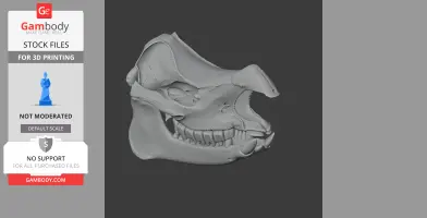 Indian Rhinoceros Skull - Skull Replica STL