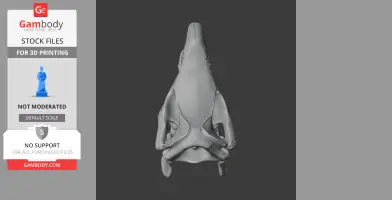 Indian Rhinoceros Skull - Skull Replica STL
