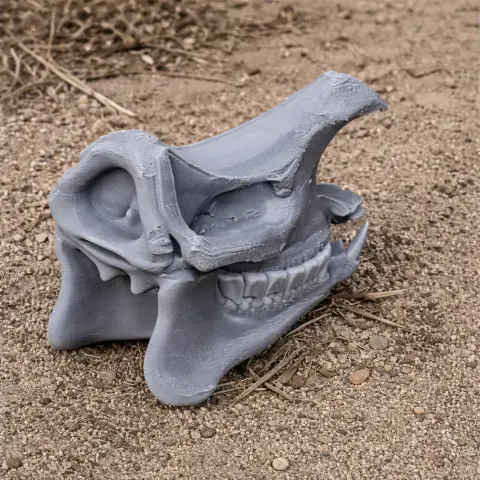 3D printed Indian rhinoceros skull replica on sandy ground.