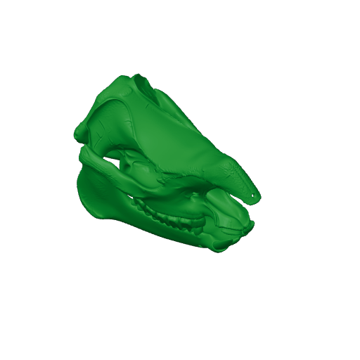 Indian Rhinoceros Skull.3mf