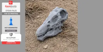 Indohyus Skull - Skull Replica STL