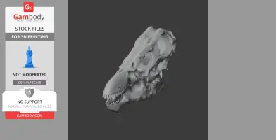 Indohyus Skull - Skull Replica STL