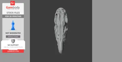 Indohyus Skull - Skull Replica STL