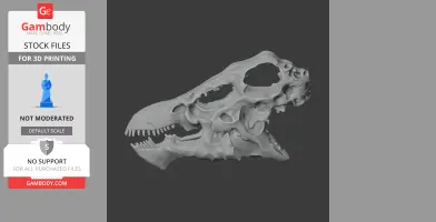 Indohyus Skull - Skull Replica STL