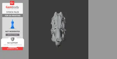 Indohyus Skull - Skull Replica STL