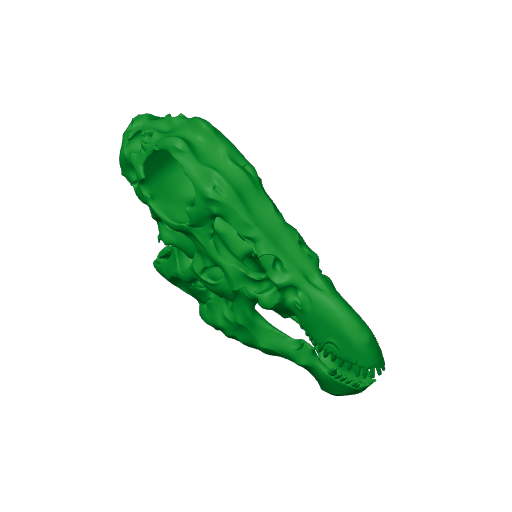 Indohyus Skull.3mf