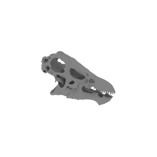 Indohyus Skull.stl