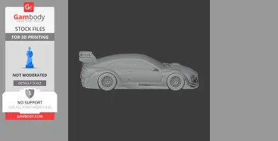 Audi RS5 DTM - Scale Vehicle STL