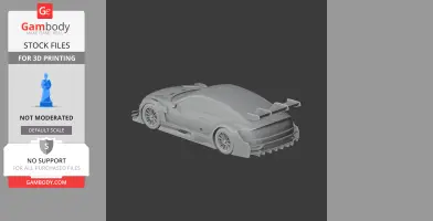 Audi RS5 DTM - Scale Vehicle STL