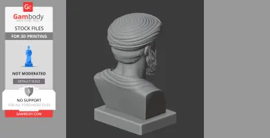 Pythagoras Bust - Historical Warrior STL