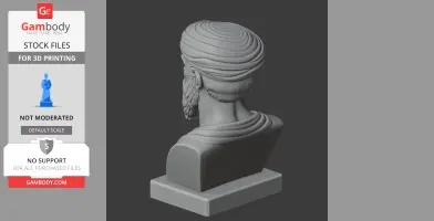 Pythagoras Bust - Historical Warrior STL
