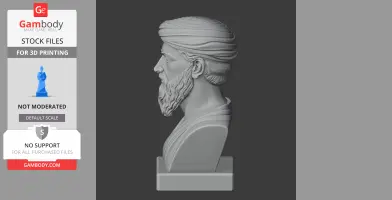 Pythagoras Bust - Historical Warrior STL