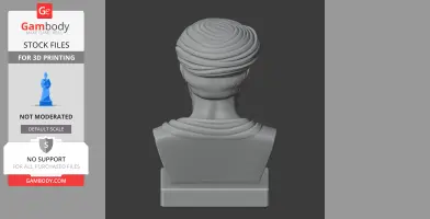 Pythagoras Bust - Historical Warrior STL