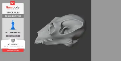 Indri Skull - Skull Replica STL