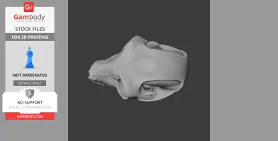 Indri Skull - Skull Replica STL
