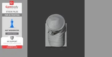 3D model of a historical warrior bust with headgear and draped clothing, viewed from above.
