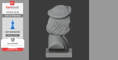 A 3D printed bust of a historical warrior with long hair and a beret on a rectangular base.