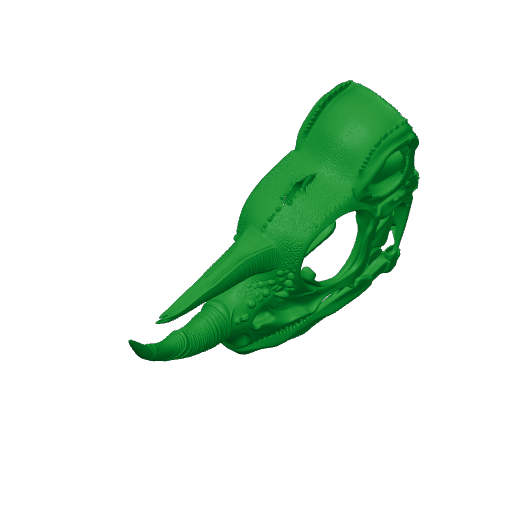 Jackson's Chameleon Skull.3mf