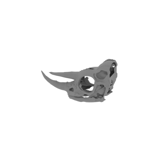 Jackson's Chameleon Skull.stl
