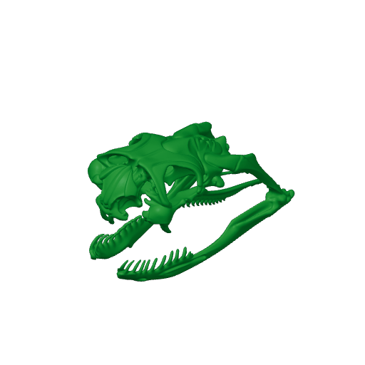 Jameson's Mamba Skull.3mf