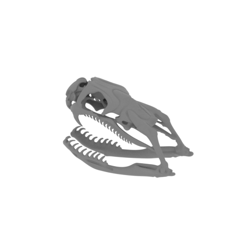 Jameson's Mamba Skull.stl