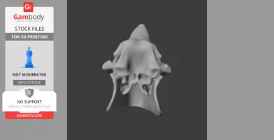 Javan Rhinoceros Skull - Skull Replica STL