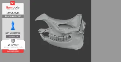 Javan Rhinoceros Skull - Skull Replica STL
