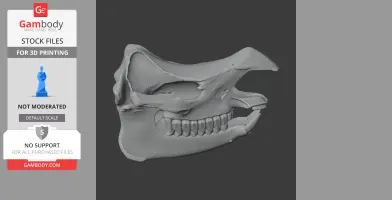 Javan Rhinoceros Skull - Skull Replica STL
