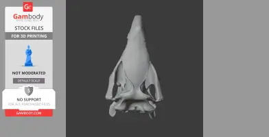 Javan Rhinoceros Skull - Skull Replica STL