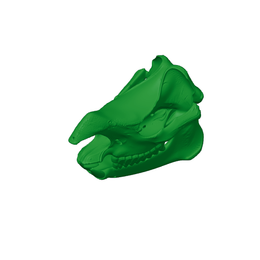 Javan Rhinoceros Skull.3mf