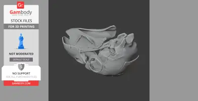 3D model of an abstract, organic skull-like structure for printing.