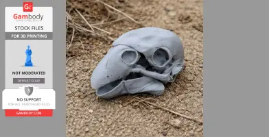 A 3D-printed gray bird skull model placed on textured ground.