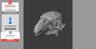 3D model of a detailed bird-like skull, designed for 3D printing.