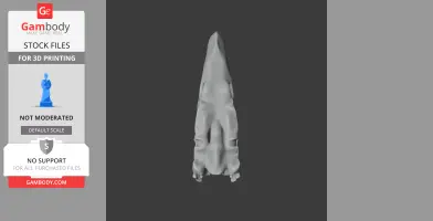 3D model of a Kelenken guillermoi skull from a top view for printing, showing elongated structure.