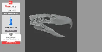3D model of a Kelenken guillermoi skull, suitable for 3D printing, detailed lateral view.