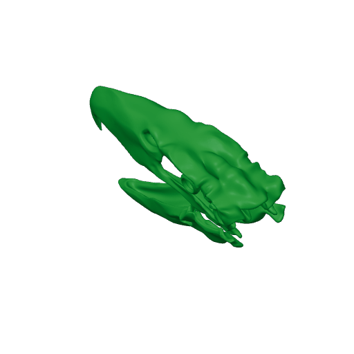 Kelenken guillermoi Skull.3mf