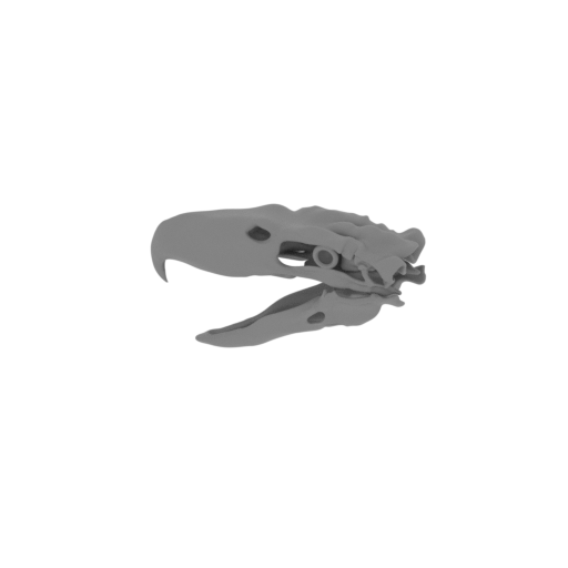 Kelenken guillermoi Skull.stl