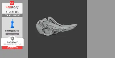 King-of-Saxony Bird-of-paradise Skull - Skull Replica STL