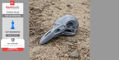 King-of-Saxony Bird-of-paradise Skull - Skull Replica STL