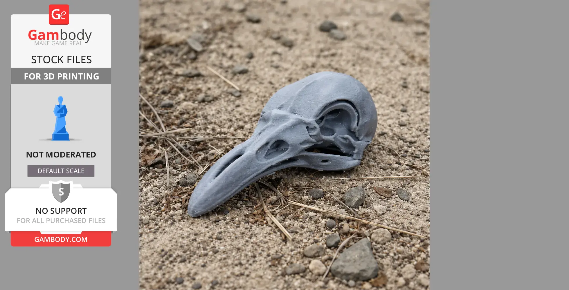 King-of-Saxony Bird-of-paradise Skull - Skull Replica STL