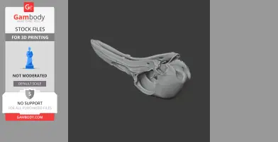 King-of-Saxony Bird-of-paradise Skull - Skull Replica STL