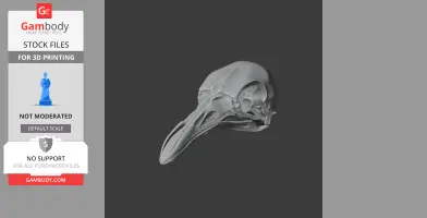King-of-Saxony Bird-of-paradise Skull - Skull Replica STL