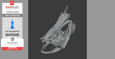 Knifefish Skull - Skull Replica STL