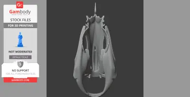Knifefish Skull - Skull Replica STL