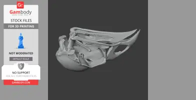 Kokako Skull - Skull Replica STL
